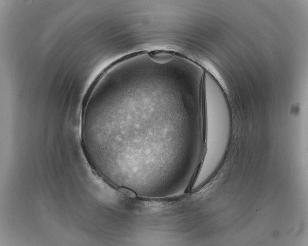X0000090781132200707201518