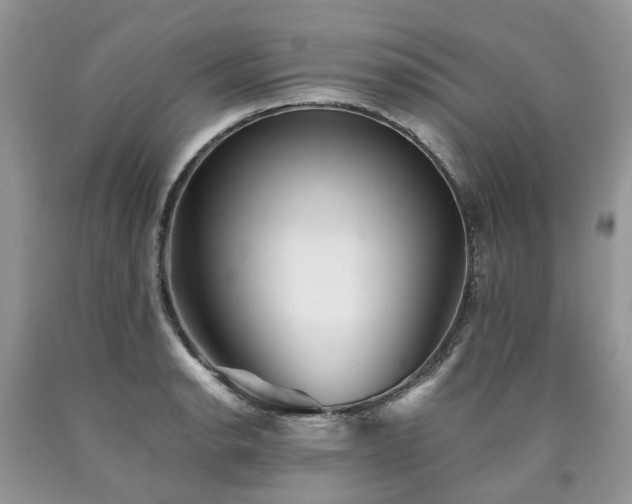X0000090781134200707201518
