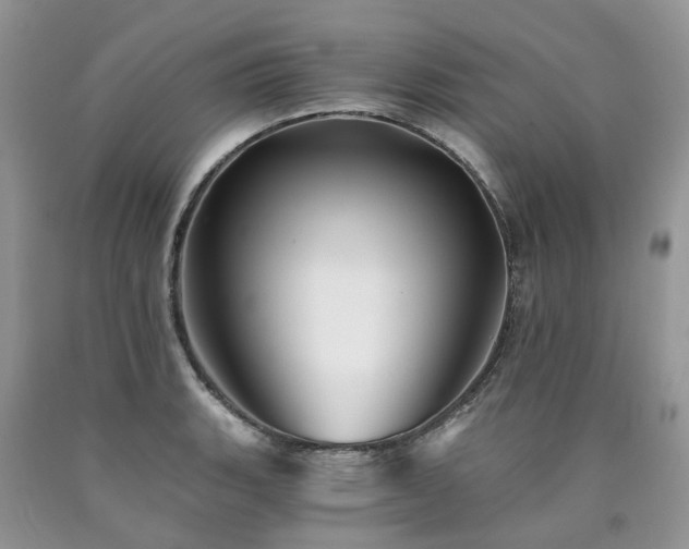 X0000090781135200707201518