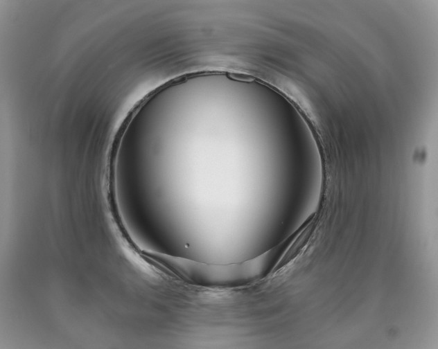 X0000090781136200707201518