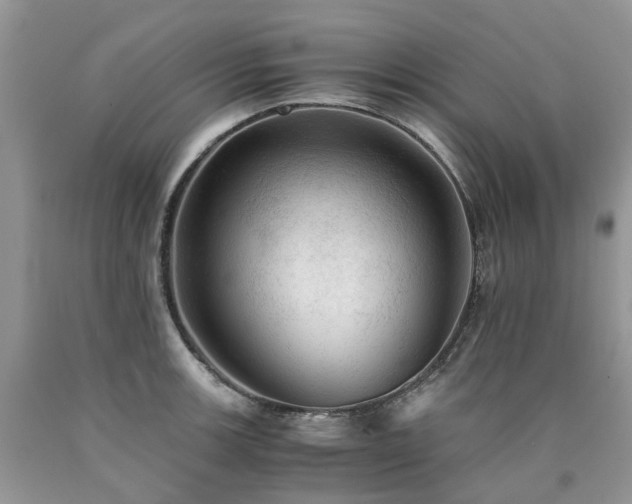 X0000090781139200707201518