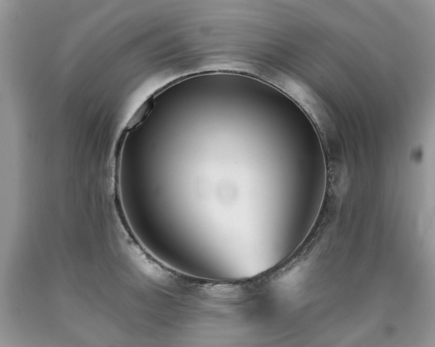 X0000090781140200707201518