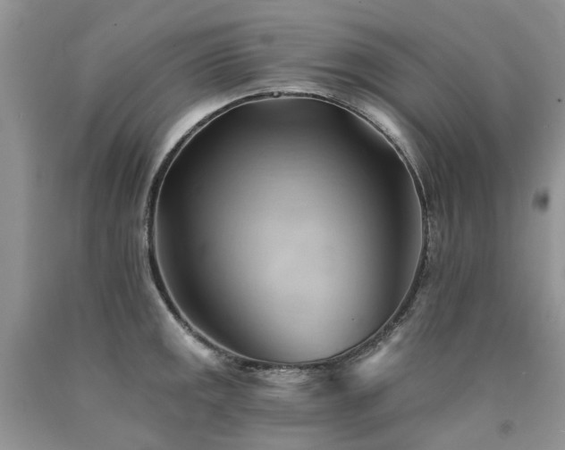 X0000090781141200707201518
