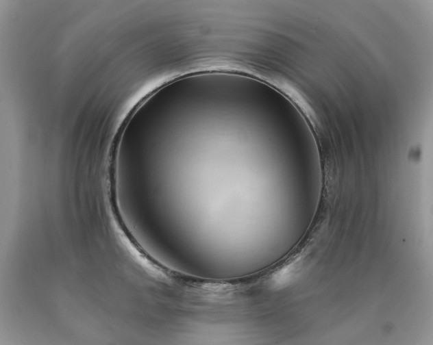 X0000090781142200707201518