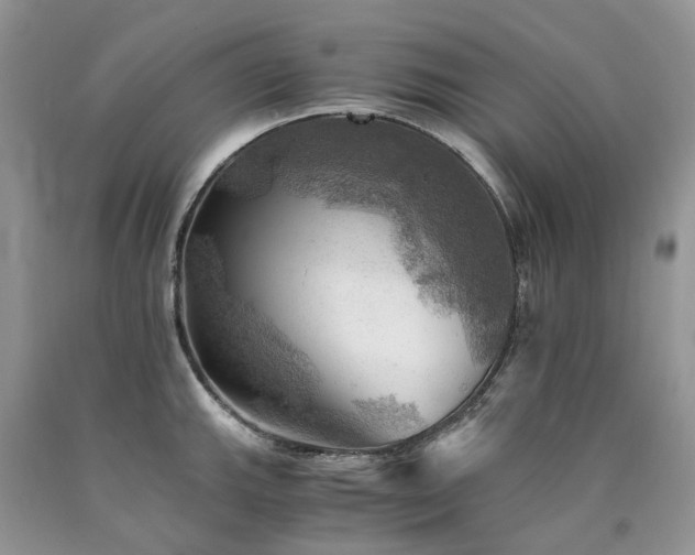 X0000090781143200707201518