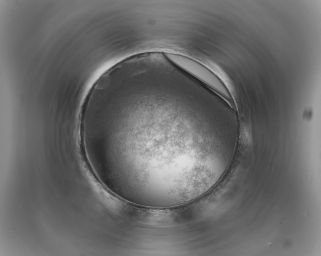 X0000090781144200707201518