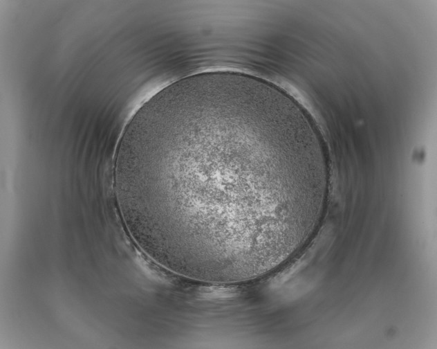 X0000090781145200707201518