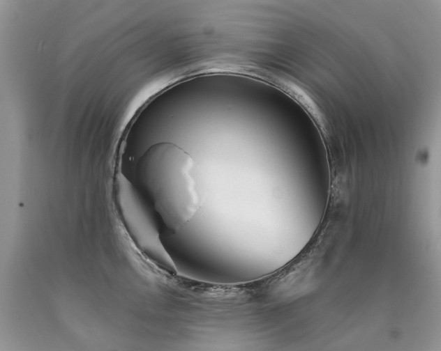 X0000090781146200707201518