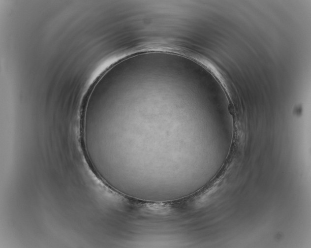 X0000090781147200707201518