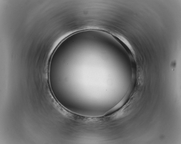 X0000090781148200707201518