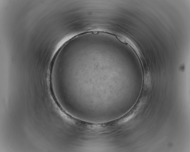 X0000090781149200707201518