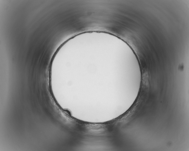 X0000090781150200707201518