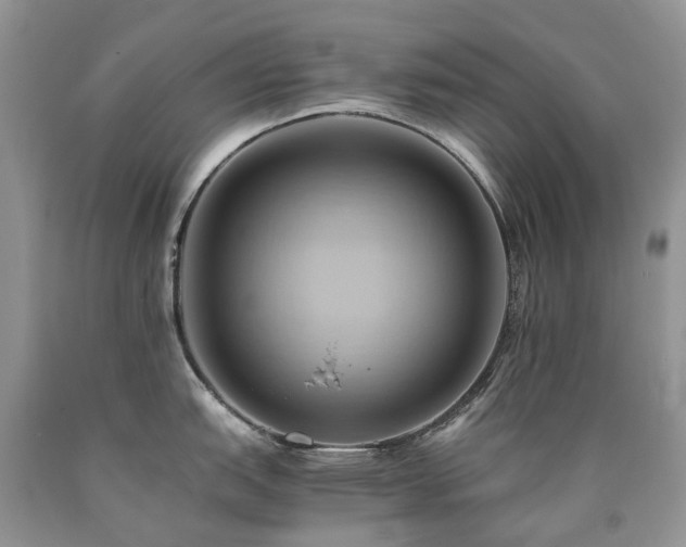 X0000090781151200707201518