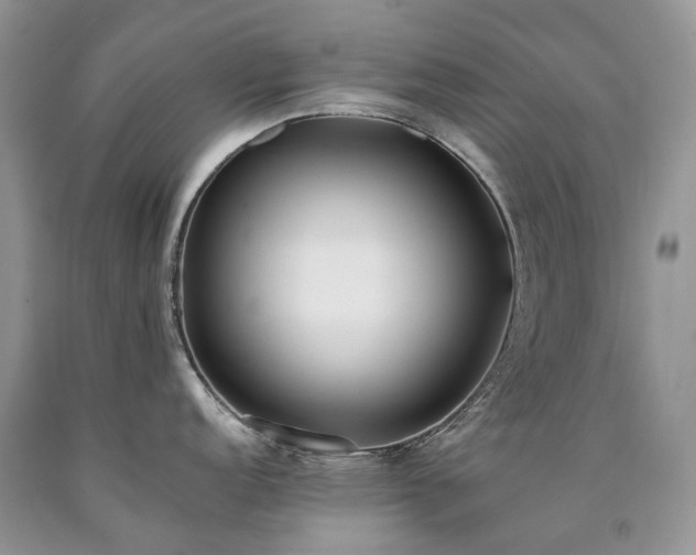 X0000090781152200707201518
