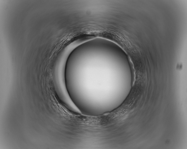 X0000090781153200707201518