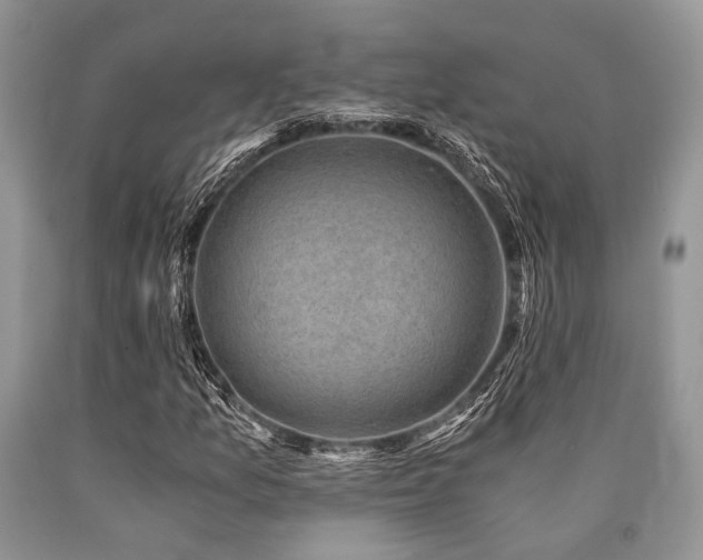 X0000090781157200707201518