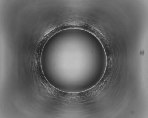 X0000090781158200707201518