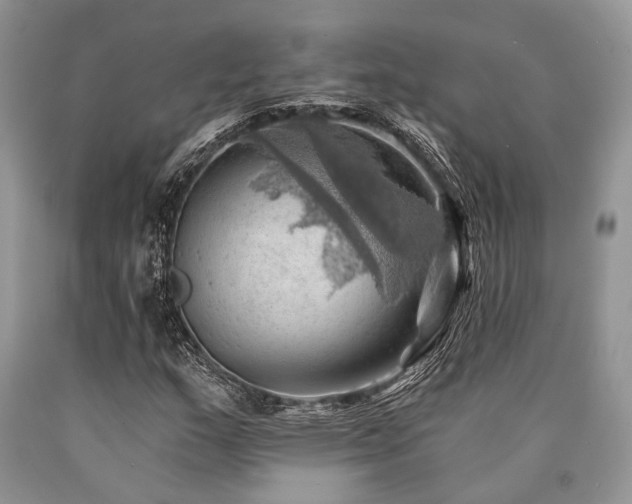 X0000090781159200707201518