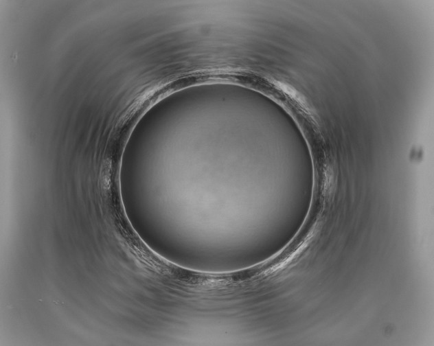 X0000090781161200707201518