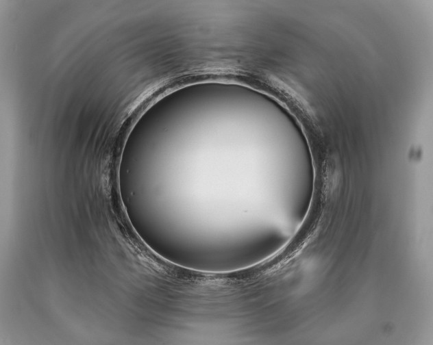 X0000090781162200707201518