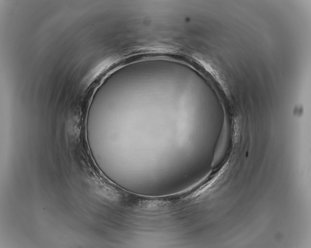 X0000090781163200707201518