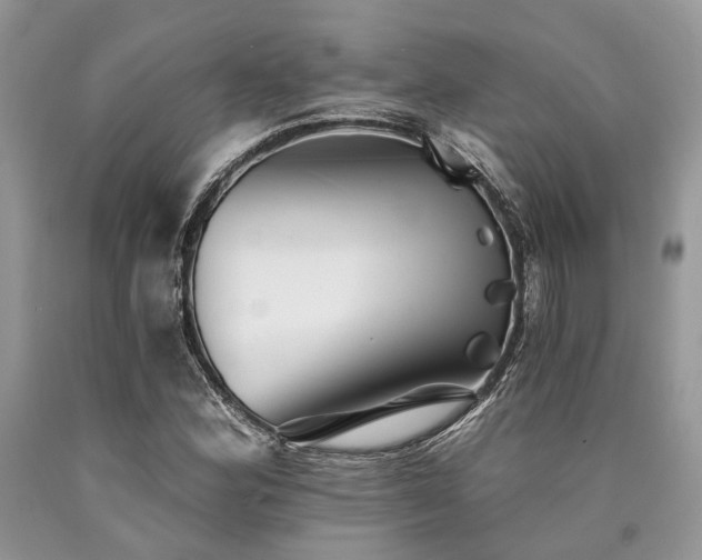 X0000090781164200707201518