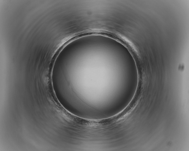 X0000090781170200707201517