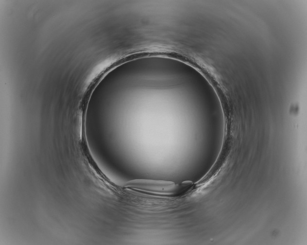 X0000090781171200707201517