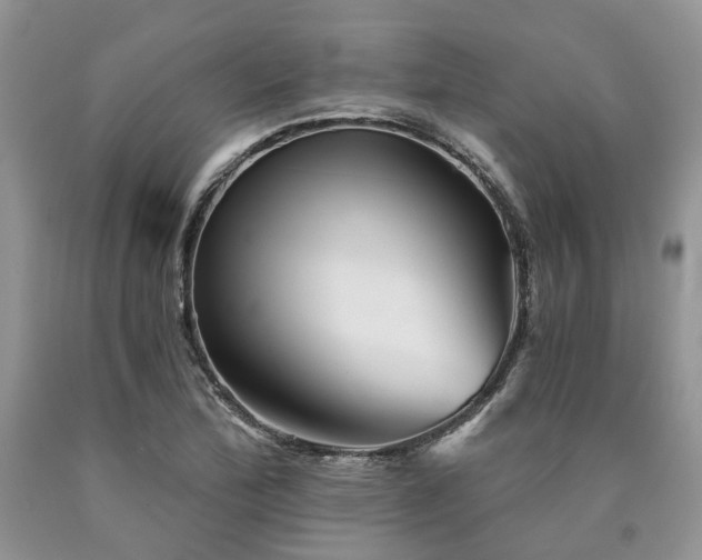 X0000090781172200707201517
