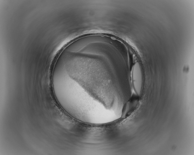 X0000090781173200707201517