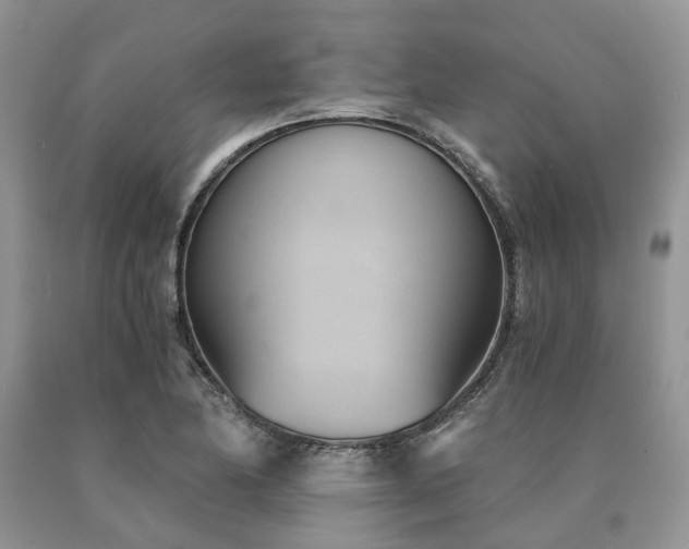 X0000090781174200707201517