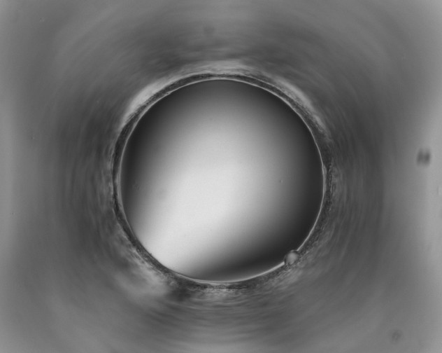 X0000090781176200707201517