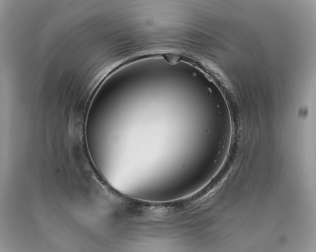 X0000090781177200707201517