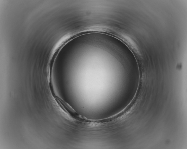 X0000090781180200707201517