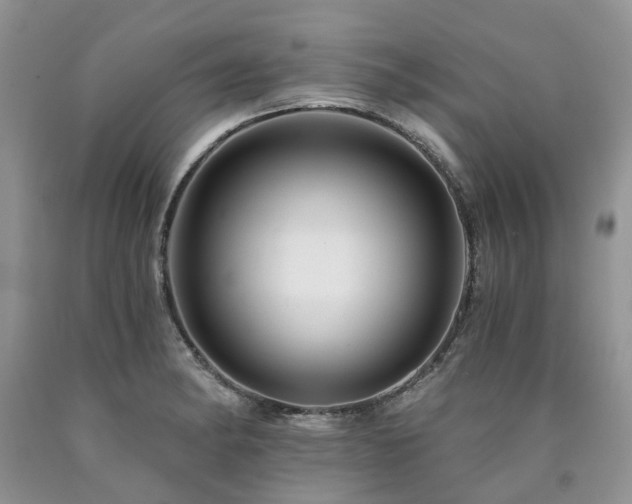 X0000090781182200707201517