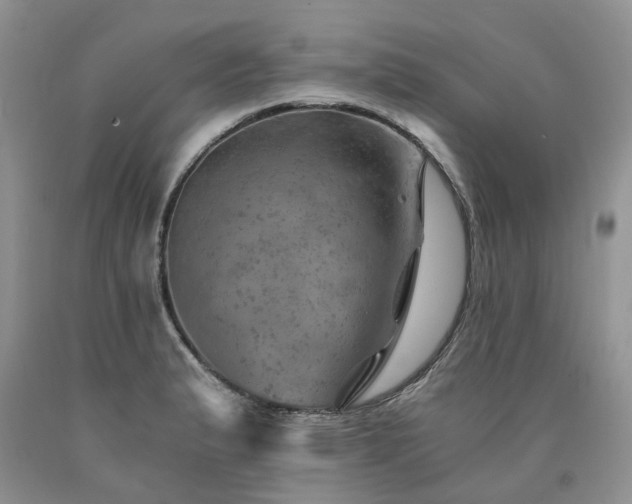 X0000090781183200707201517