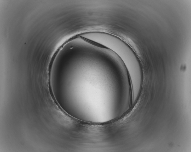 X0000090781184200707201517