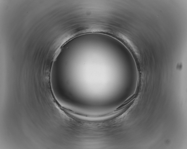 X0000090781185200707201517