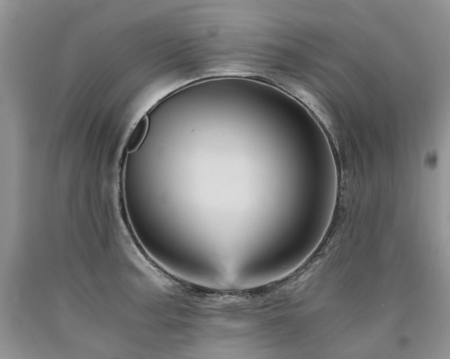 X0000090781187200707201517