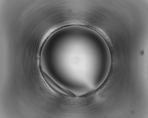 X0000090781188200707201517