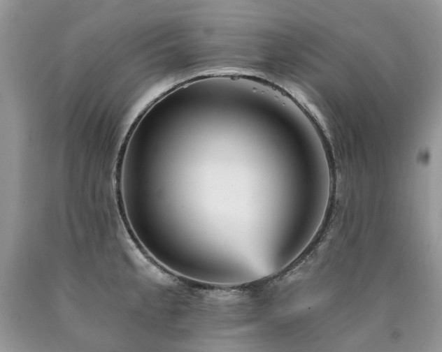 X0000090781189200707201517