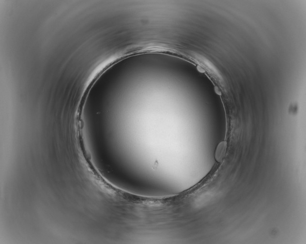 X0000090781190200707201517