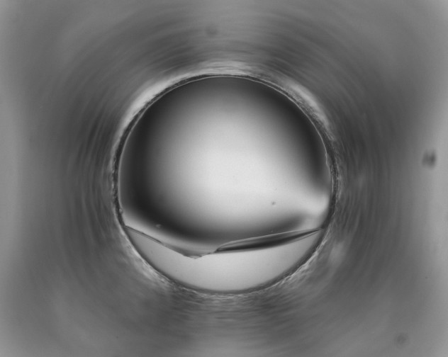 X0000090781192200707201517