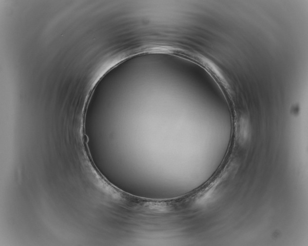 X0000090781194200707201517