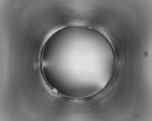 X0000090781195200707201517