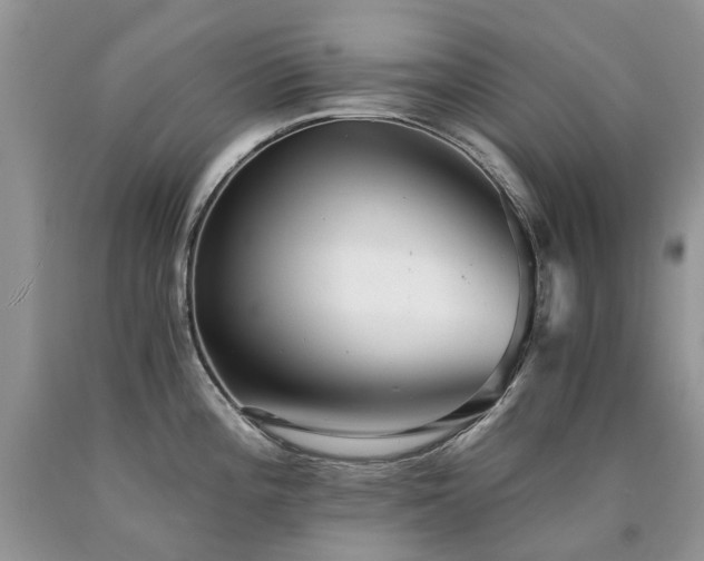 X0000090781196200707201517
