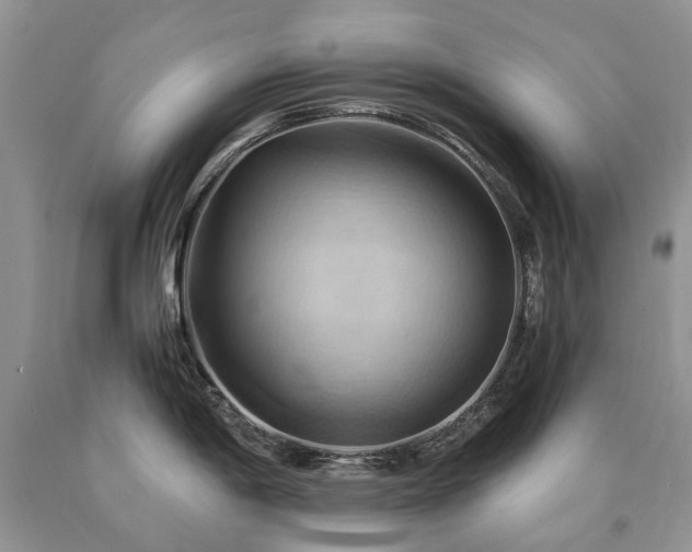 X0000090781198200707201517