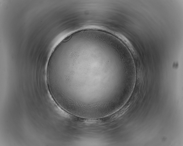 X0000090781199200707201517