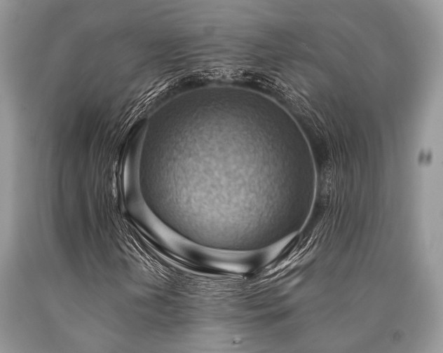 X0000090781202200707201516
