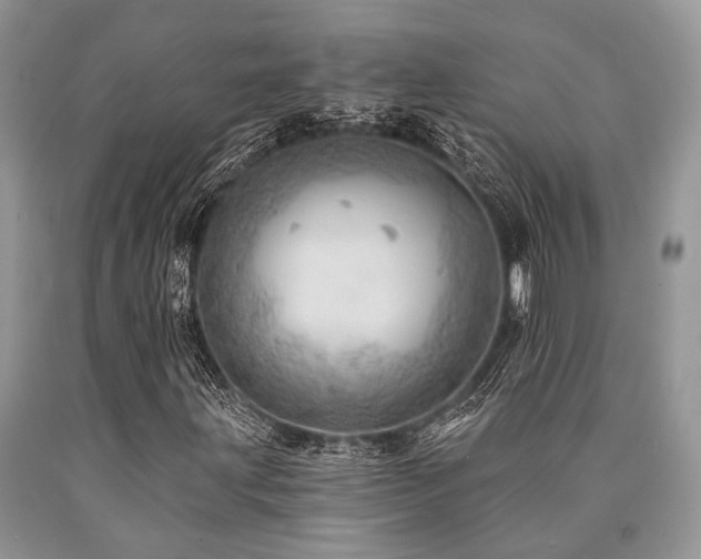 X0000090781203200707201516